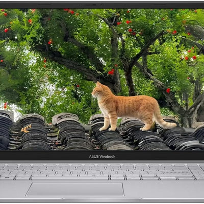 ASUS VivoBook 15 WUXGA